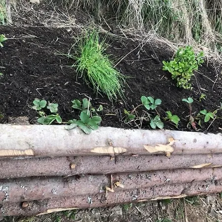Privat Pohoda * Nova Lubovna